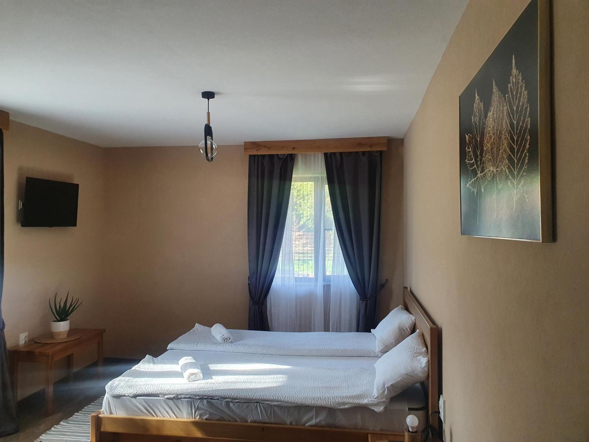 Pensiunea Transilvania Covasna Room photo